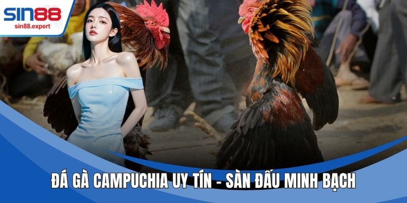 Đá Gà Campuchia uy tín