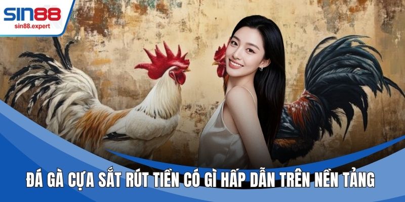 Đá Gà Cựa Sắt Rút Tiền