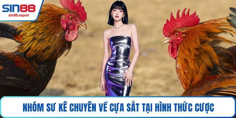 Nhóm sư kê chuyên về cựa sắt tại hình thức cược