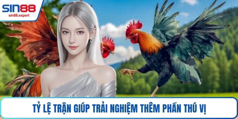 Tỷ lệ trận giúp trải nghiệm thêm phần thú vị